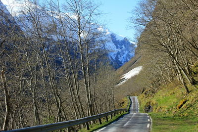 Road passing through trees