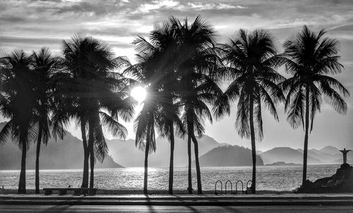 Palm trees on beach against sky