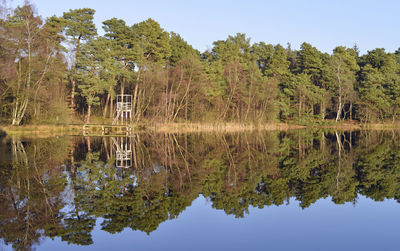 Reflection of trees in lake against clear sky