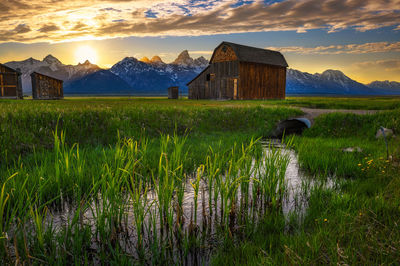 House on field