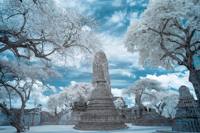 Snow covered trees against sky