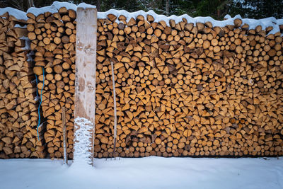Stack of logs in forest
