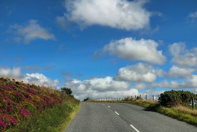 View of empty road along trees