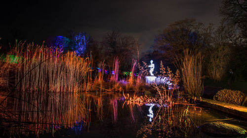 Reflection of trees in lake at night