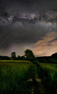 Scenic view of field against sky at night