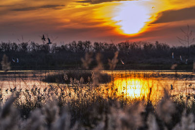 Scenic view of lake at sunset