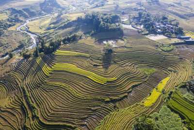 High angle view of agricultural land