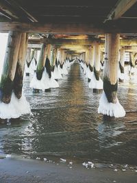 Birds below shot of bridge in water