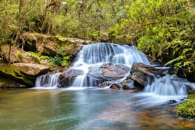 Scenic view of waterfall in forest