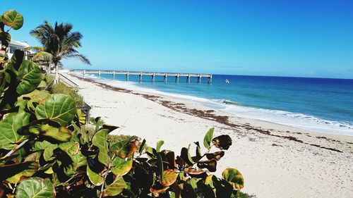 Scenic view of beach against clear blue sky