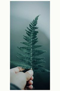 Close-up of hand holding plant against tree