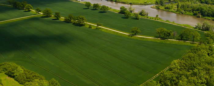 High angle view of agricultural field