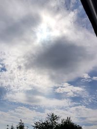 Low angle view of trees against cloudy sky