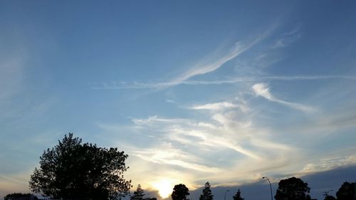 Low angle view of trees against cloudy sky