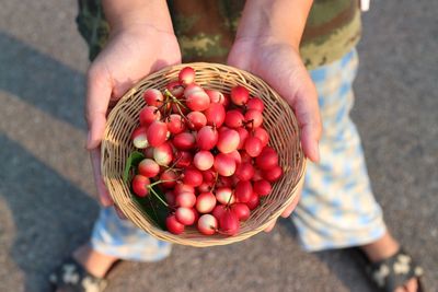 Cropped hand of person holding grapes