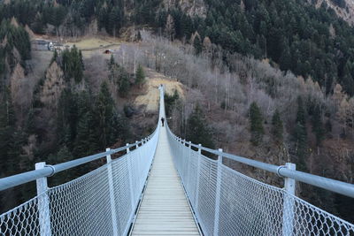 Footbridge amidst trees in forest