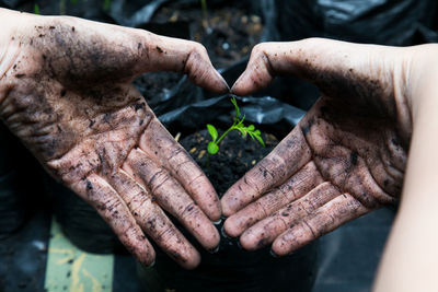 Close-up of person making heart shape with hand against seedling