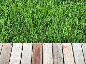 High angle view of wooden bench on field