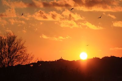 Silhouette birds flying against orange sky