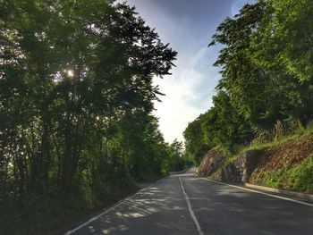 Road amidst trees against sky