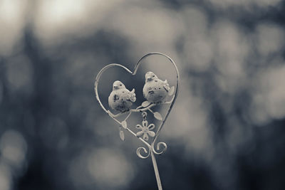 Close-up of heart shape hanging on metal