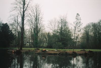 Reflection of trees in lake against sky