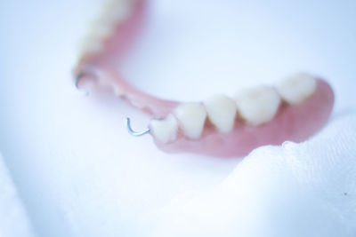 High angle view of dentures on table