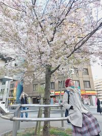Man and cherry blossom tree