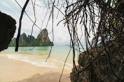 Scenic view of beach against sky