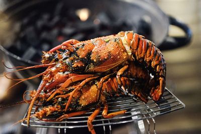 Close-up of meat on barbecue grill