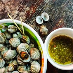 High angle view of shells in bowl on table