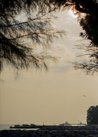 Silhouette trees against sky at sunset