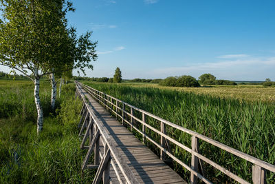 Wooden bridge on swamp against sky