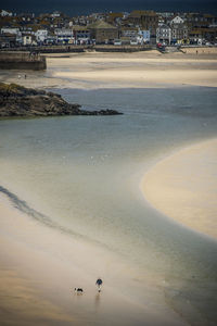 High angle view of man with dog walking at beach