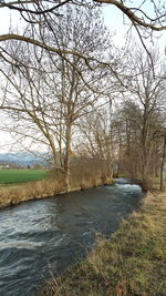 Bare trees by river against sky