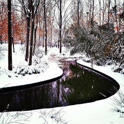 Scenic view of snow covered landscape