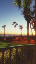 Scenic view of palm trees against clear sky during sunset