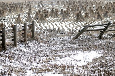 Snow on field