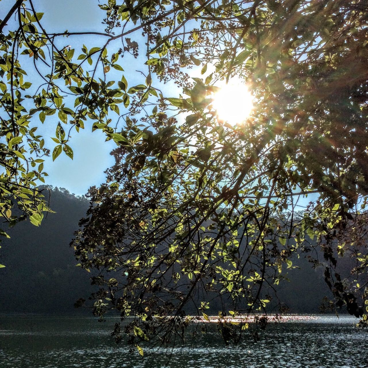 SCENIC VIEW OF RIVER AGAINST SKY