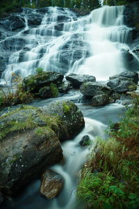 Scenic view of waterfall in forest