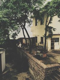 Abandoned building against trees