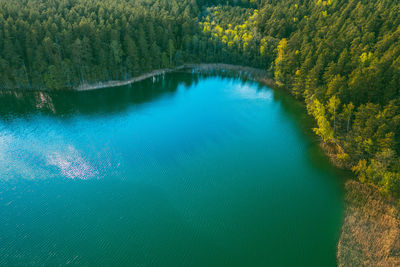 High angle view of lake amidst trees