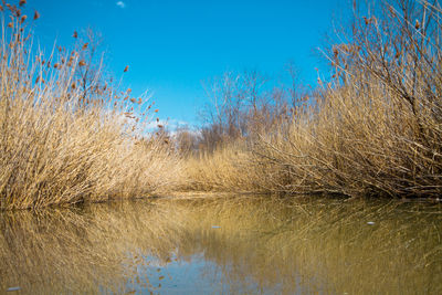 Scenic view of calm lake against sky