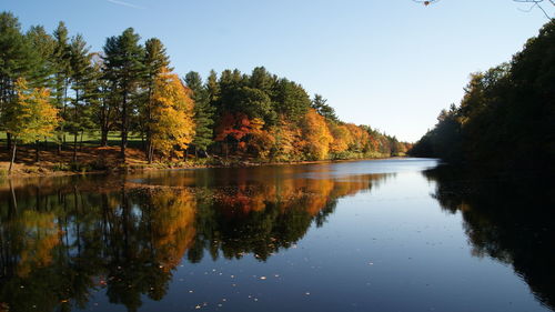 Reflection of trees in lake against clear sky