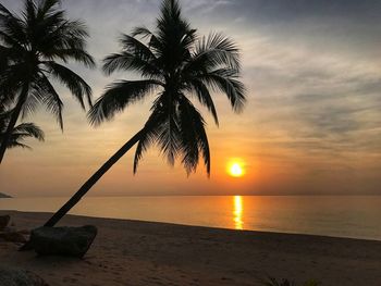 Silhouette palm tree by sea against sky during sunset