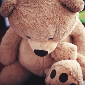 Close-up of stuffed toy