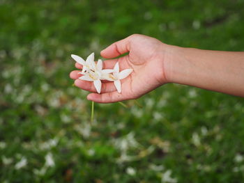 Close-up of hand holding red flower on field