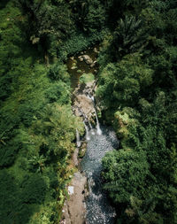 High angle view of waterfall amidst trees in forest