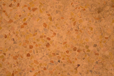 Full frame shot of patterned wall