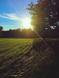 Scenic view of grassy field against sky during sunset